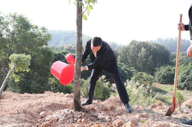 春风吹出满眼绿，公明街道开展2023年全民义务植树暨林长植树活动