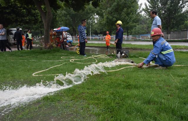 园林绿化养护主要工作 园林绿化养护主要工作