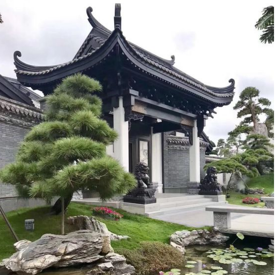 关于庭院造型树你知道哪些？