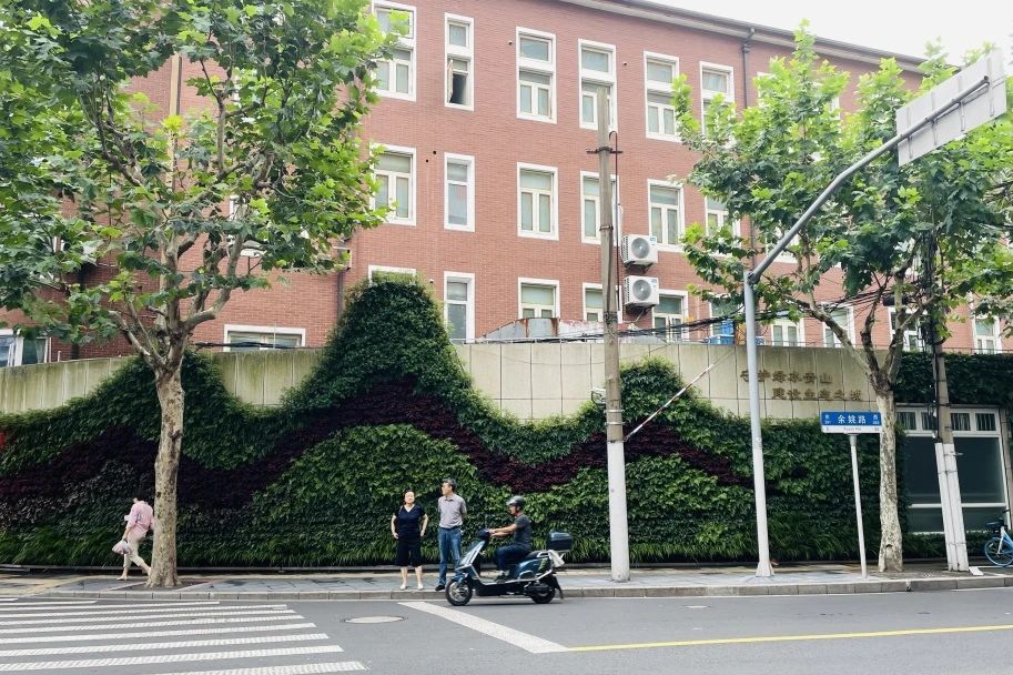 推进静安区立体绿化，在胶州路上赏“绿水青山”