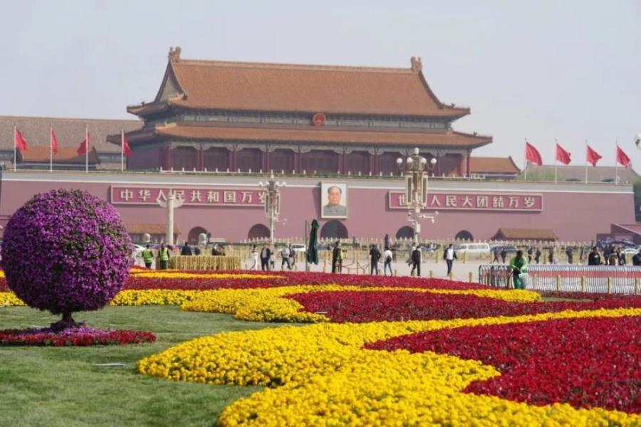迎节日！天安门广场花卉景观上新