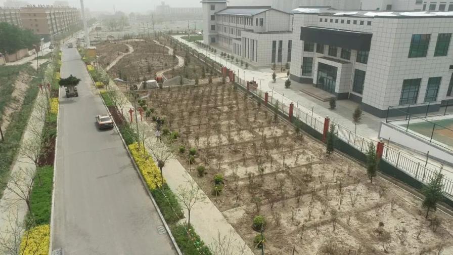 古浪：厚植生态底色 绿染苍松大地