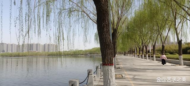 美丽的须水河滨河公园，红花绿柳，环境优美
