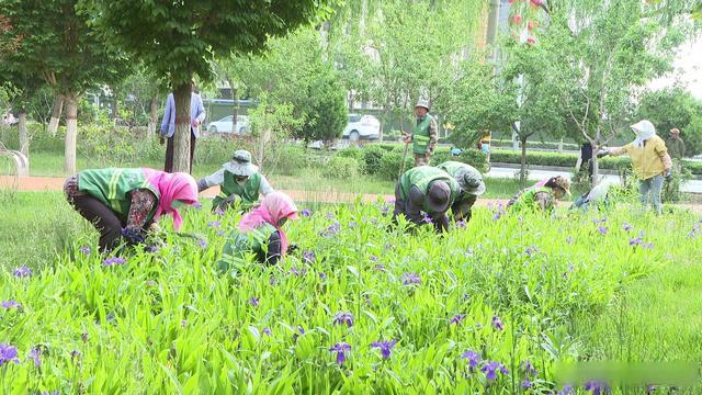 甘州：加强夏季园林养护管理 提升城市绿化品质