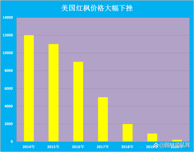 红花槭原产美国，引入我国大红大紫了10年，如今成了“烫手的山芋”