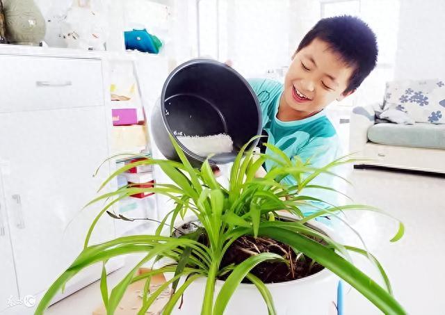 养花必珍藏：室内养花种种小方法！