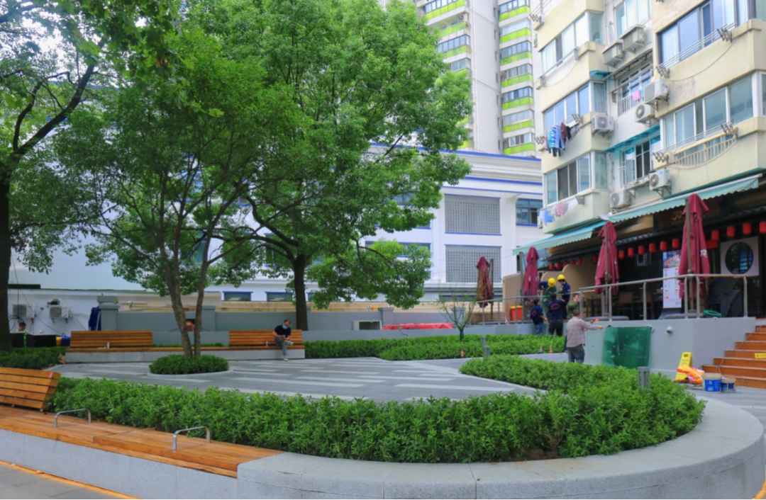 高质量发展看徐汇｜扮靓微空间，城市绿化如此拼颜值