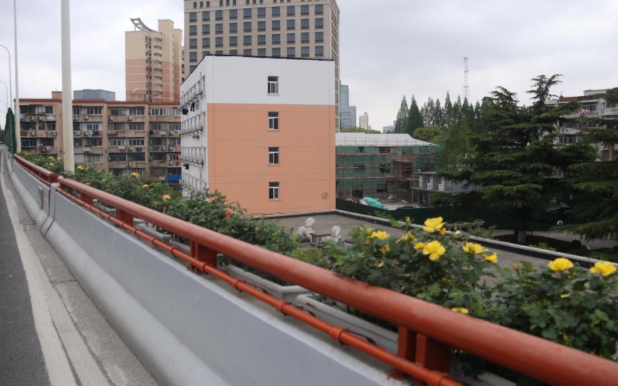 市绿化管理部门开展高架沿口绿化景观保障巡查调研