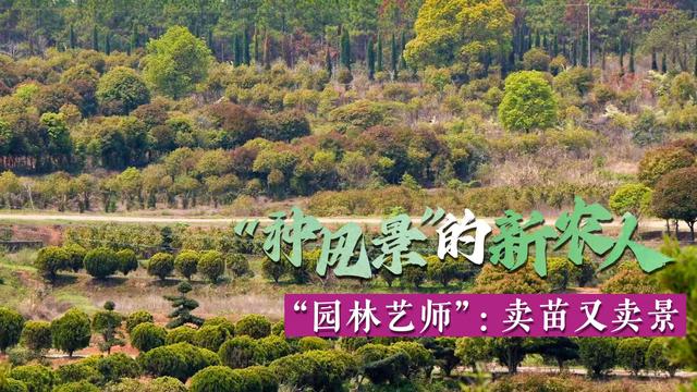 “种风景”的新农人｜“园林艺师”：卖苗又卖景
