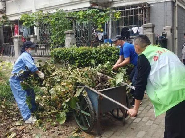 “异地补绿”，让小区绿化改造有了新思路