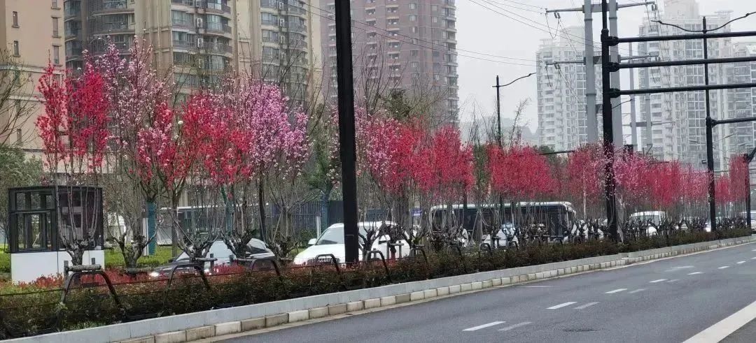 分享丨即将完工！一起坐上长宁这趟“公园列车”吧