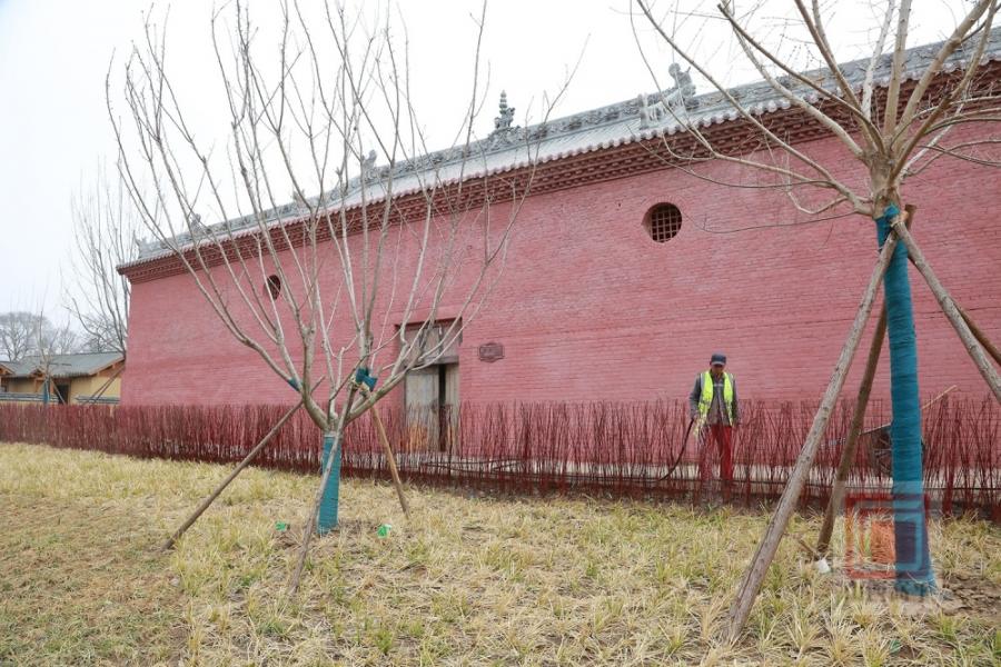 提升绿化品质 扮靓乡村底色