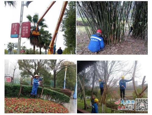 宜春市园林事务中心：满园春色美 绿化养护忙（图）