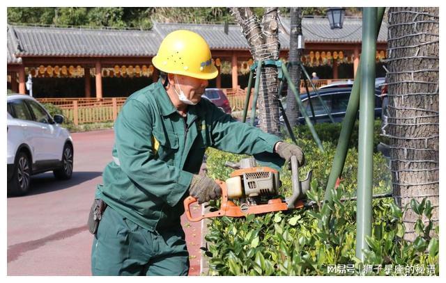 春日好时节 绿化养护“加速度”