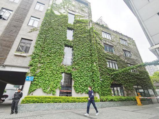 上海公园城市建设中的立体绿化，你知道哪些？