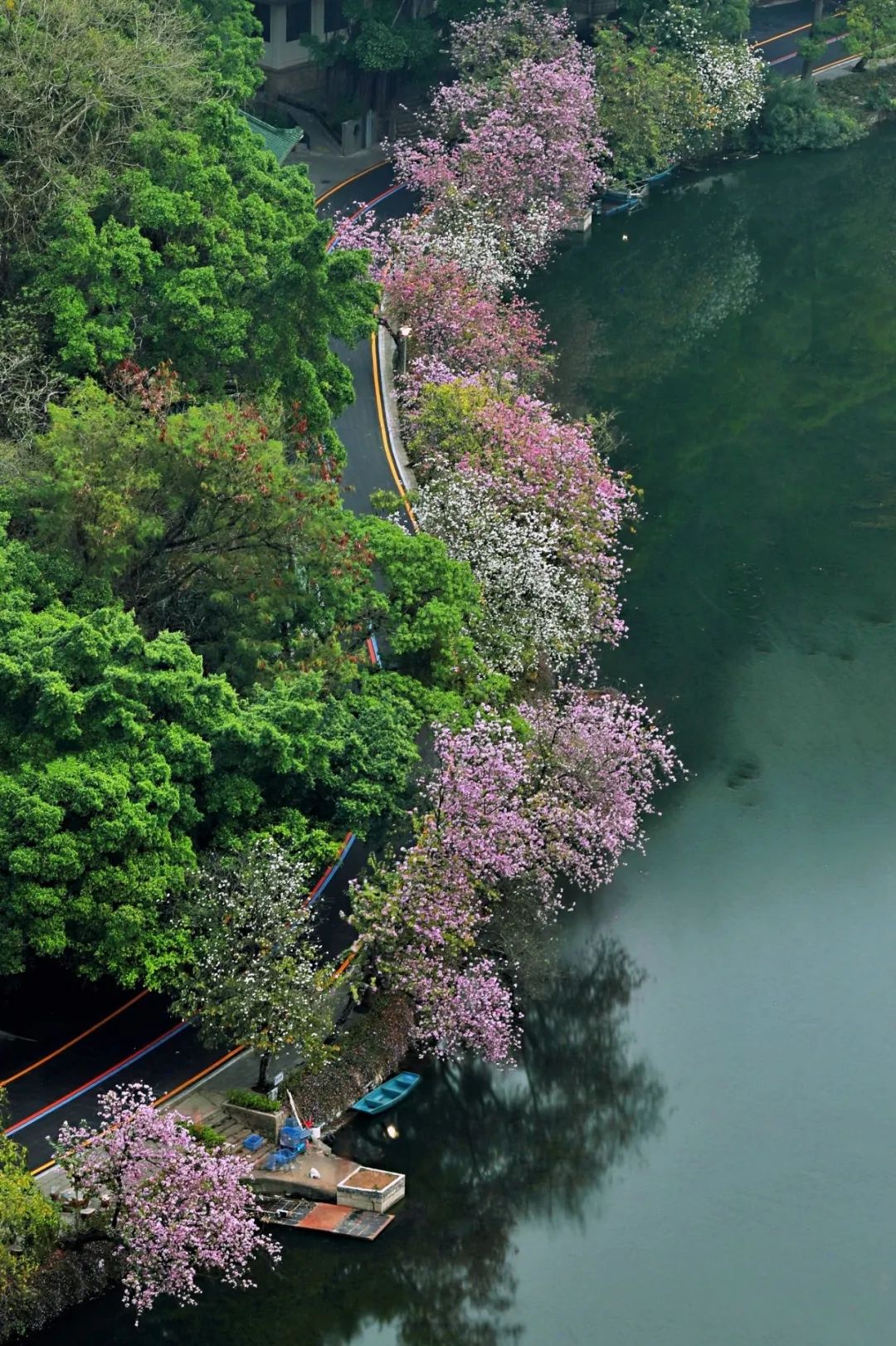 春意盎然花满径，最佳赏花线路又岂能错过……