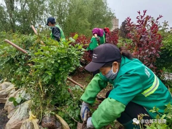 园林绿化整治不停步 城市景观形象再提升