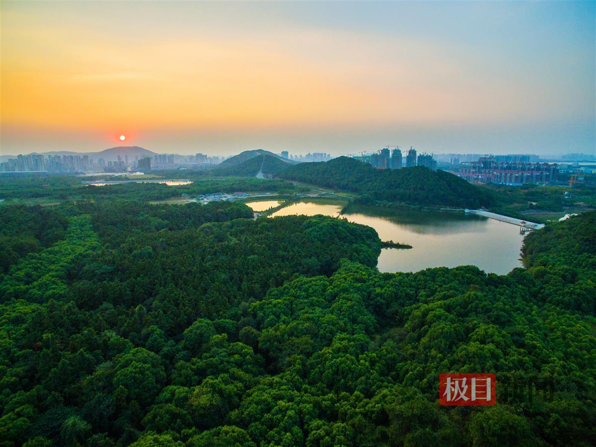 描画十条花景大道，东湖绿道三期掀盖头……幸福吧！武汉公布今年绿化大礼包