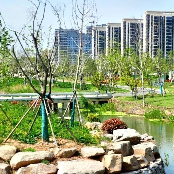 黄冈市三台河绿化景观工程交付使用