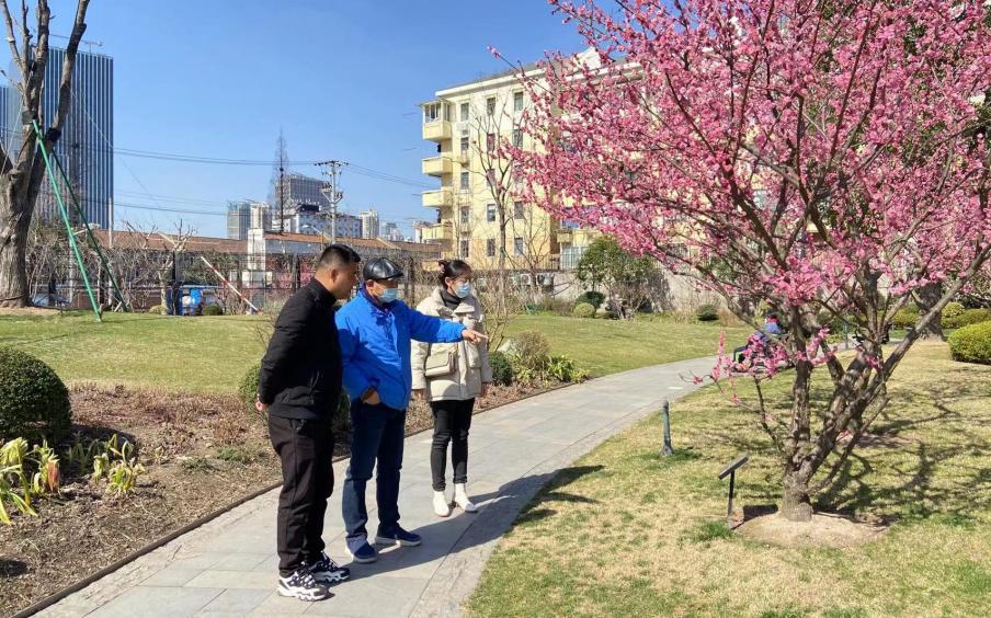 市绿化部门开展新一轮百条花道巡查考评工作