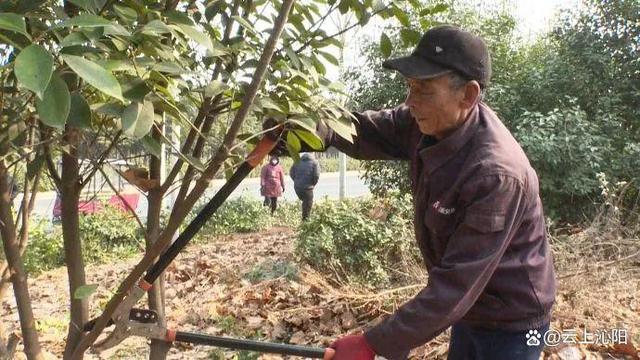 春光正好，为沁阳“梳妆”！
