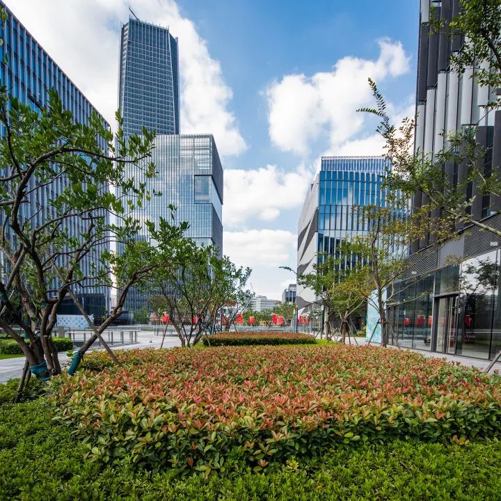 新增超25000m²！秀出绿化的立体美（附美图）