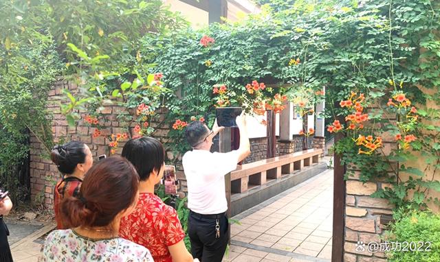 家乡美景风光秀：衡阳市南湖公园凌霄花绚丽绽放，灿烂夺目