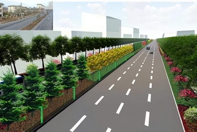 西宁市城东区互助路：变身以海棠为主题的绿廊
