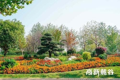 扩绿提颜值 扮靓“大河西”