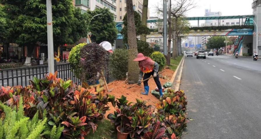 奏响绿化养护“春之声”，擦亮文明城市幸福底色