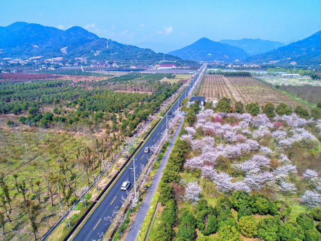 浙江绿化美化精品道路及特色精品道路上新！