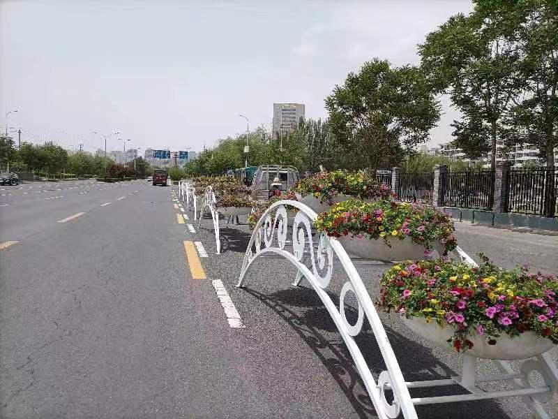 兰州市全力做好兰马道路沿线绿化美化工作