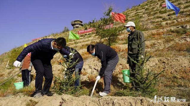 海东平安区：举行2022年国土绿化暨秋季义务植树活动