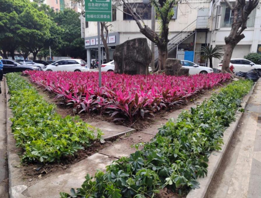 奏响绿化养护“春之声”，擦亮文明城市幸福底色