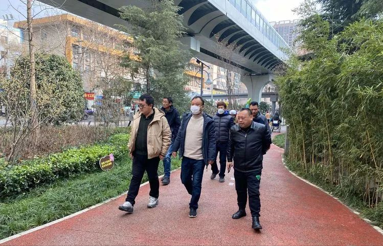 西安市城管局督导组检查碑林区2月份园林绿化精细化管理工作