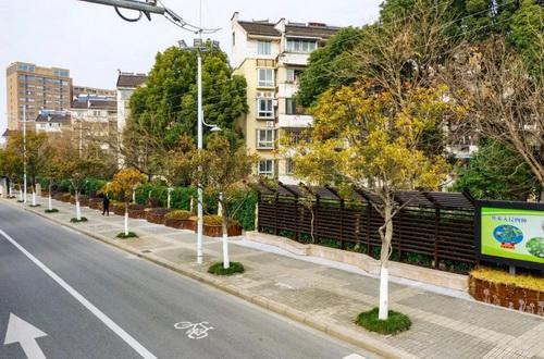 平湖市街头多处绿化容貌升级