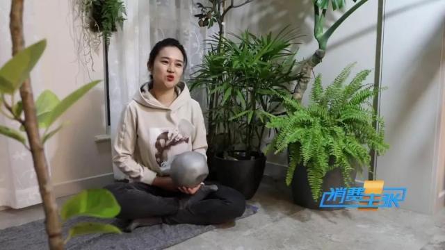 家里养花有啥讲究？这几点要注意