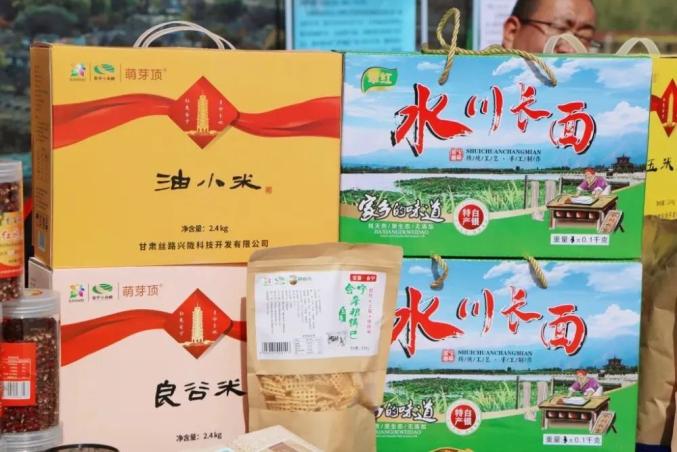 白银区以“千万工程”经验为指引 助力美丽乡村建设