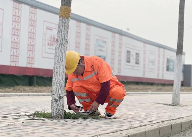 顺义开启公路绿化“梳妆焕颜”,扮靓城市更宜居 顺义开启公路绿化“梳妆焕颜”,扮靓城市更宜居