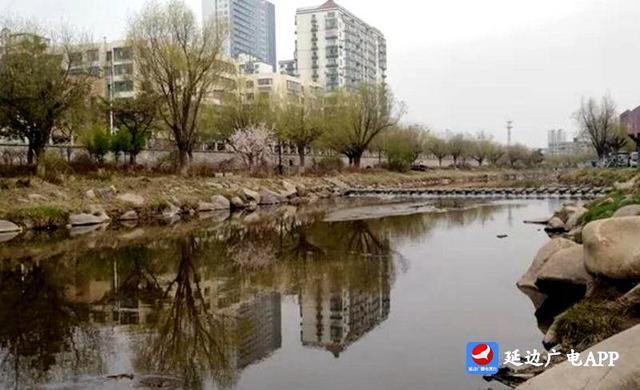 只争朝夕 持续发力 “绿美延吉”行动让夏日更清凉