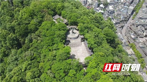 凤凰南华山：12万株绣球花打造花海景观 升级场景5月呈现