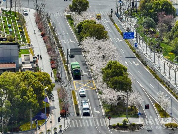 虹口区再添一条绿化特色道路