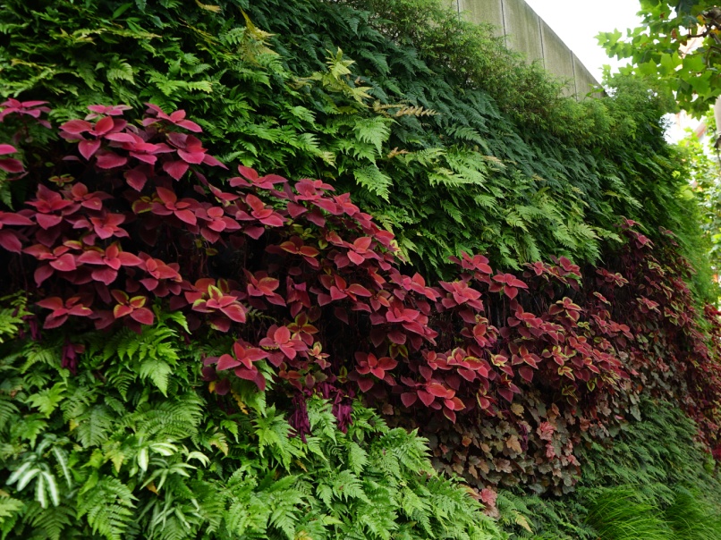 推进静安区立体绿化，在胶州路上赏“绿水青山”
