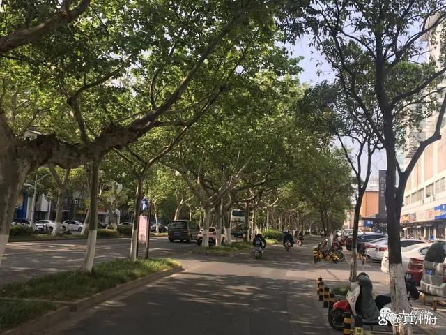仪征今年城市绿化建设计划出炉 仪征今年城市绿化建设计划出炉
