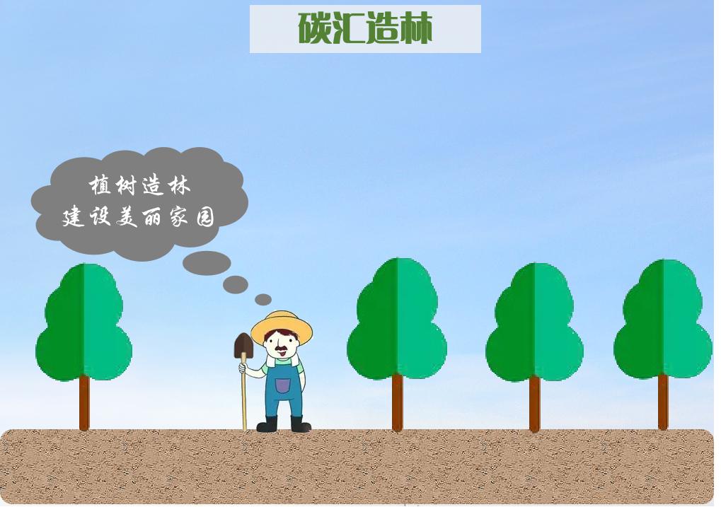 种树还能赚钱？一起来了解林业碳汇