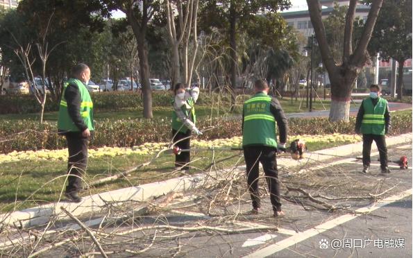 春季“梳妆”好时节 精细剪修忙不停