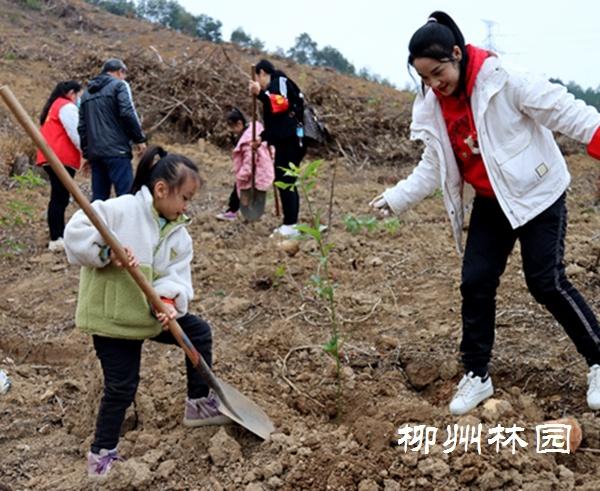 开展2023年新春珍贵树种义务植树活动
