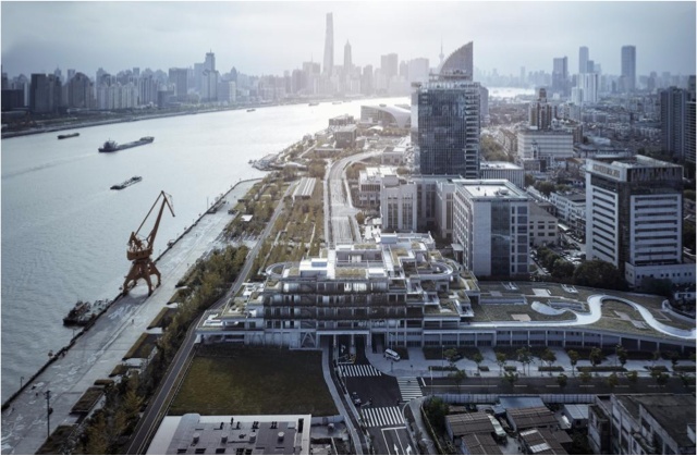 阿拉绿化市容人丨“一路一色、一园一品”——高国荣