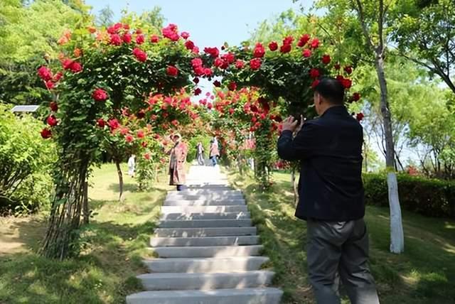 绿色芳菲满园景，闲绕花枝便当游，郑州市雕塑公园风光无限