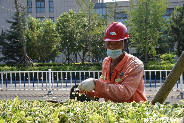 青岛高新区：推进园林绿化养护 提升城市宜居品质